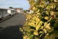 Arcadian Motel image 16
